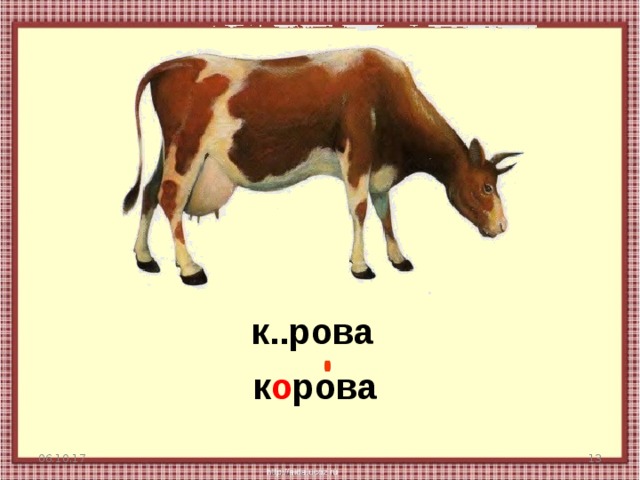 Словарное слово корова в картинках