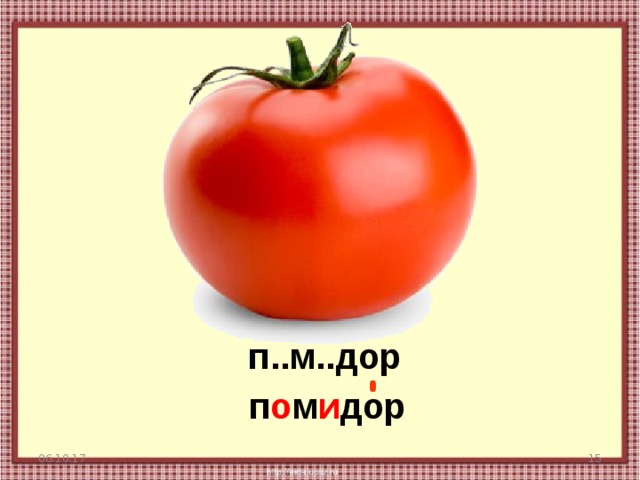 Моя дорога в детство томат помидор 2024. Трактат помидор томат. Доры Доры помидоры мы. Дартс помидор томат.