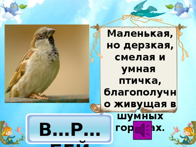 Маленькая, но дерзкая, смелая и умная птичка, благополучно живущая в шумных городах .  В…Р…БЕЙ 