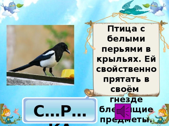 Птица с белыми перьями в крыльях. Ей свойственно прятать в своём гнезде блестящие предметы.  С…Р…КА 