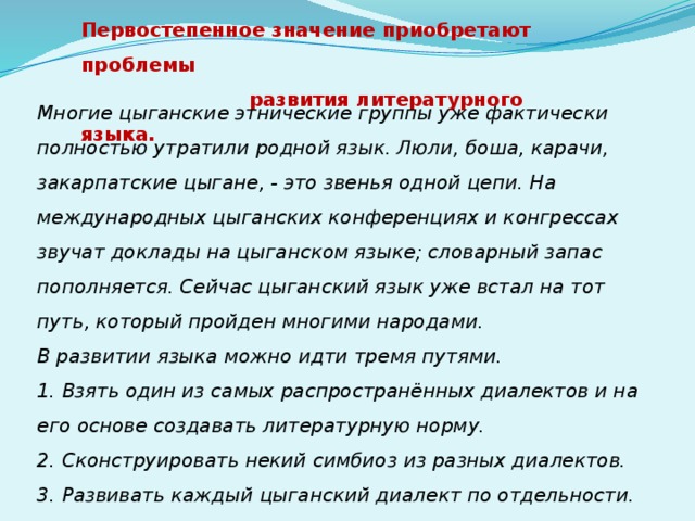 Первостепенное значение приобретают проблемы  развития литературного языка.   Многие цыганские этнические группы уже фактически полностью утратили родной язык. Люли, боша, карачи, закарпатские цыгане, - это звенья одной цепи. На международных цыганских конференциях и конгрессах звучат доклады на цыганском языке; словарный запас пополняется. Сейчас цыганский язык уже встал на тот путь, который пройден многими народами.   В развитии языка можно идти тремя путями.  1. Взять один из самых распространённых диалектов и на его основе создавать литературную норму.   2. Сконструировать некий симбиоз из разных диалектов.   3. Развивать каждый цыганский диалект по отдельности.   