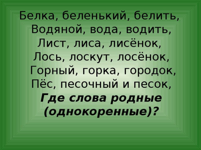 Белка корень