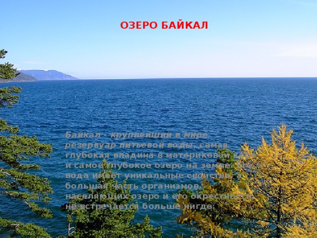  ОЗЕРО БАЙКАЛ        Байкал - крупнейший в мире резервуар питьевой воды , самая глубокая впадина в материковой коре и самое глубокое озеро на земле. Его вода имеет уникальные свойства, а большая часть организмов, населяющих озеро и его окрестности, не встречается больше нигде. 