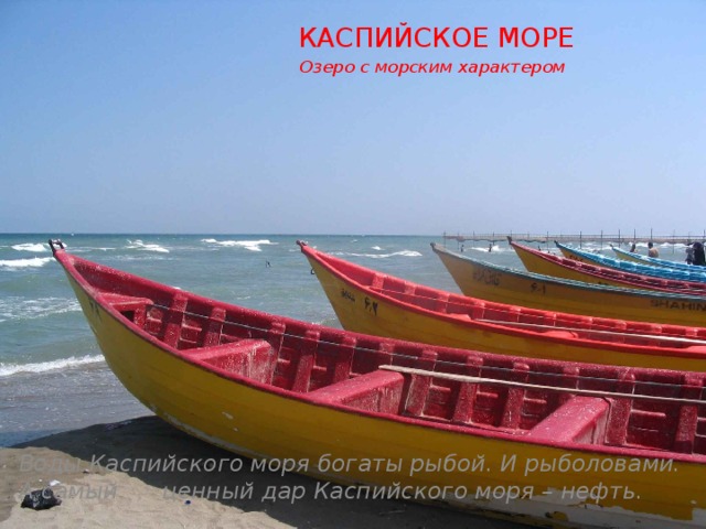  КАСПИЙСКОЕ МОРЕ  Озеро с морским характером              Воды Каспийского моря богаты рыбой. И рыболовами. А самый ценный дар Каспийского моря – нефть. 