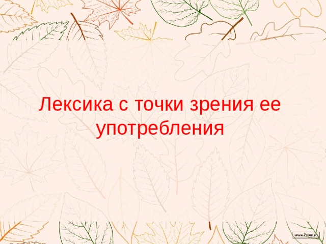 Какие точки зрения высказывались в руководстве ссср по проблемам развития сельского хозяйства стране