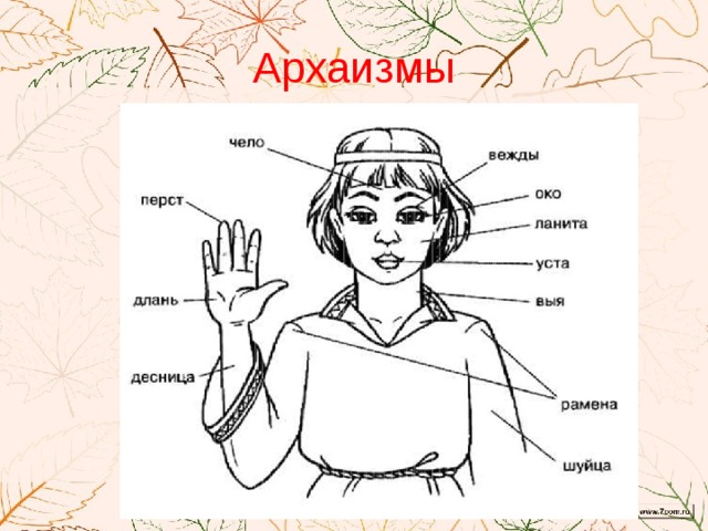 Архаизмы 