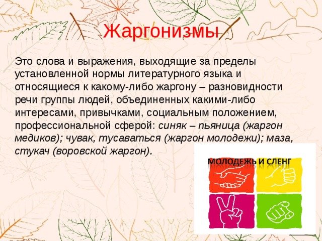Жаргонизмы Это слова и выражения, выходящие за пределы установленной нормы литературного языка и относящиеся к какому-либо жаргону – разновидности речи группы людей, объединенных какими-либо интересами, привычками, социальным положением, профессиональной сферой: синяк – пьяница (жаргон медиков); чувак, тусаваться (жаргон молодежи); маза, стукач (воровской жаргон). 