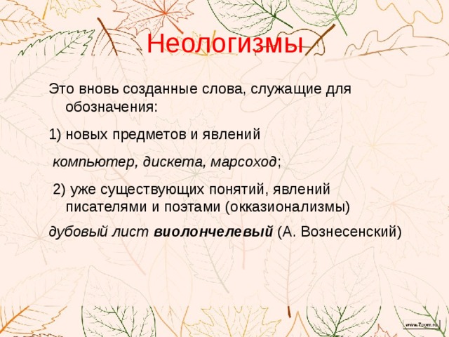 Неологизмы авторов