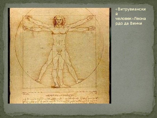 «Витрувианский человек»Леонардо да Винчи 