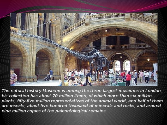 What time the museums open. Natural History Museum London презентация. Музеи Лондона презентация. Музей естествознания Лондон презентация. Музеи Лондона доклад.