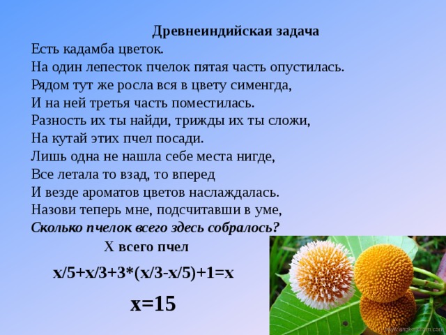 Сколько цветочков поместится на верхний. Кадамба цветок. Есть кадамба цветок на один лепесток пчелок пятая часть опустилась. Есть кадамба цветок на один лепесток. Задача есть кадамба цветок на один лепесток пчелок.