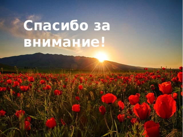 Спасибо за внимание! 