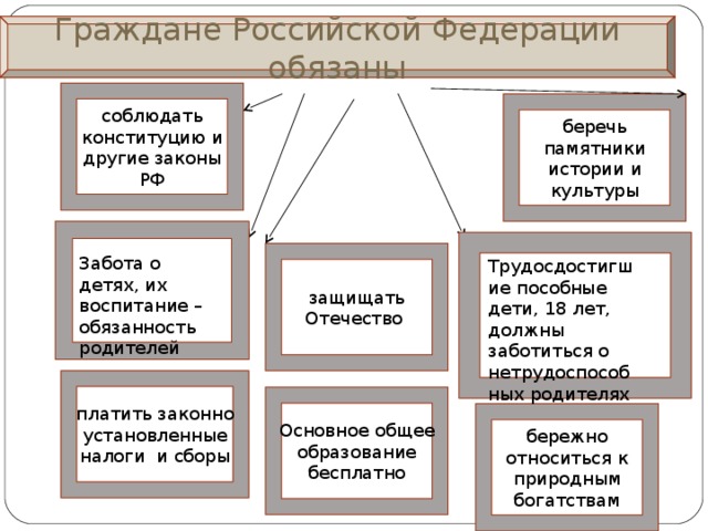 Составьте схему обязанностей граждан по конституции рф