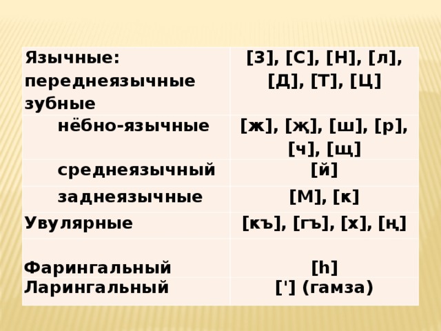 Переднеязычные согласные звуки. Переднеязычныйсреднеязычныйзаднеязычный. Увулярные согласные. Переднеязычные согласные примеры.