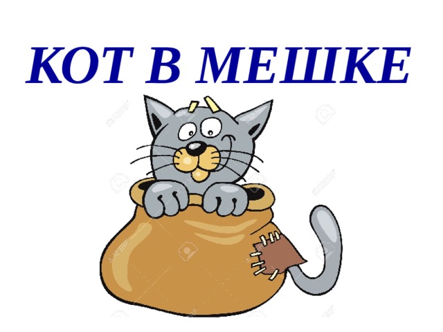 Кот в мешке картинка пнг