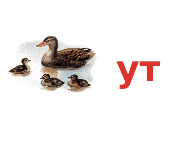 ут 