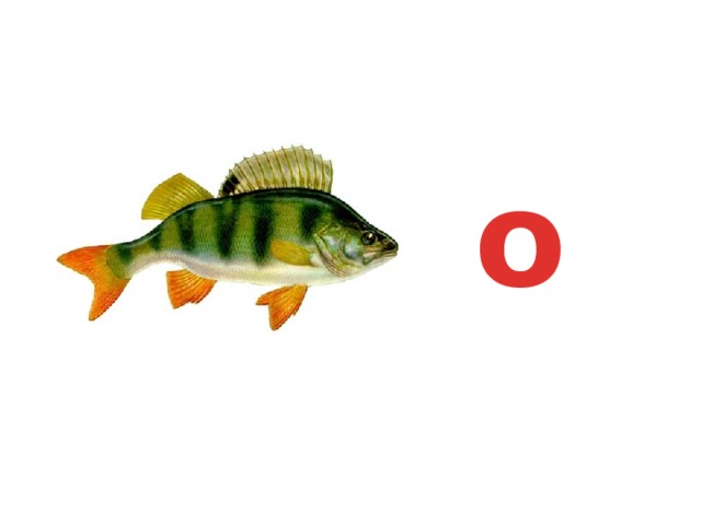 о 