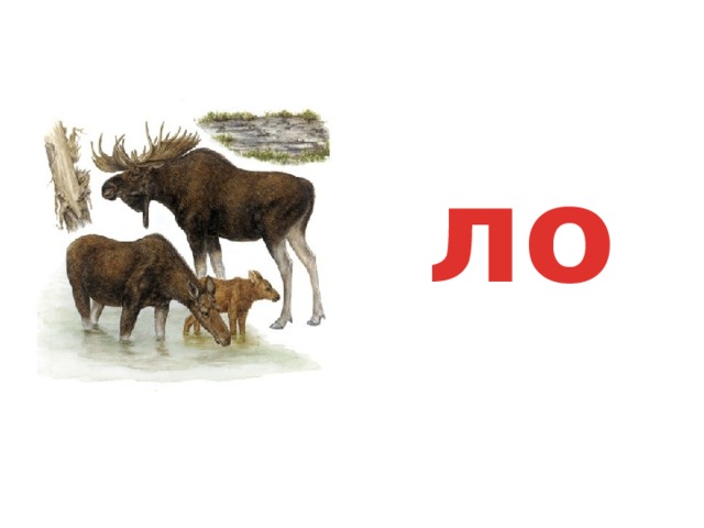 ло 