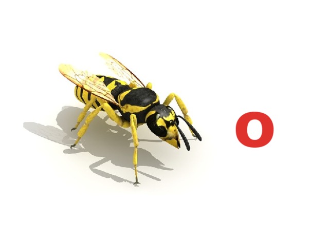 о 