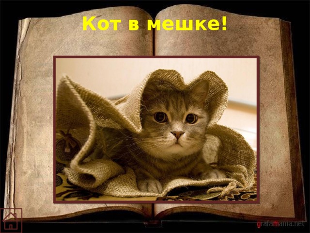 Кот в мешке!  