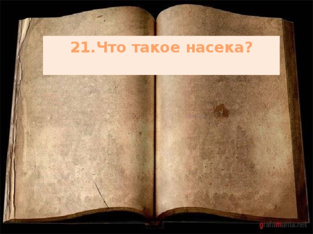 21.Что такое насека?   