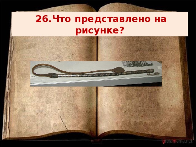  26.Что представлено на рисунке? 