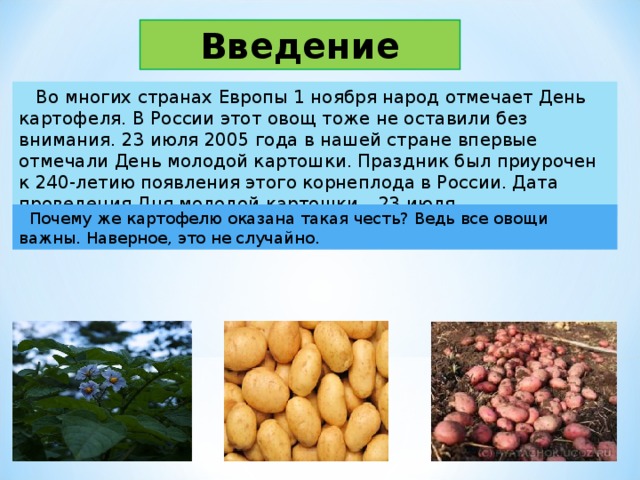 День картофеля