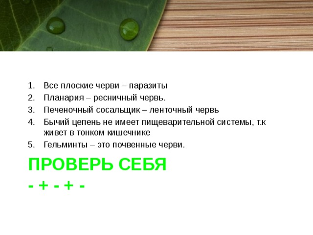Все плоские черви – паразиты Планария – ресничный червь. Печеночный сосальщик – ленточный червь Бычий цепень не имеет пищеварительной системы, т.к живет в тонком кишечнике Гельминты – это почвенные черви. Проверь себя  - + - + - 