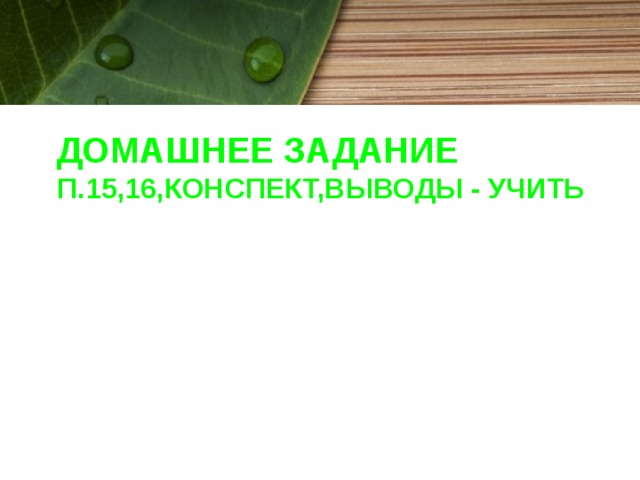 Домашнее задание  п.15,16,конспект,выводы - учить 