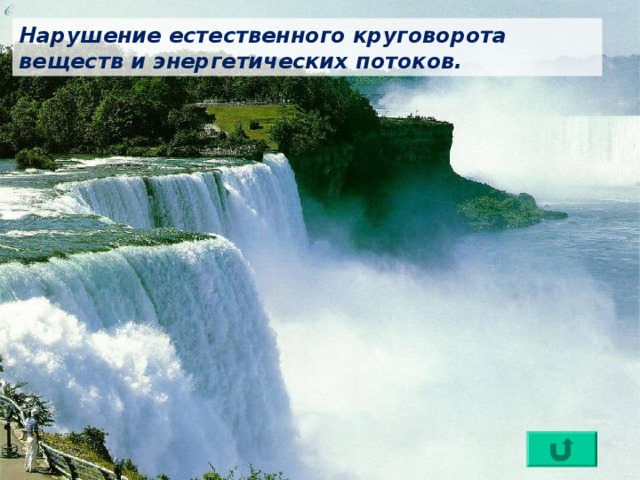 Нарушение естественного круговорота веществ и энергетических потоков. 