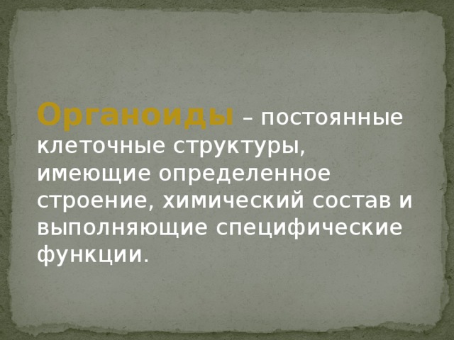 Органоиды – постоянные клеточные структуры, имеющие определенное строение, химический состав и выполняющие специфические функции. 