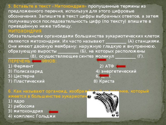 Вставь в текст дыхание растений пропущенные термины. Вставьте в текст пропущенные термины из предложенного перечня. Вставьте пропущенные в тексте понятия. Вставьте в тексте понятие. Вставь в текст термины.