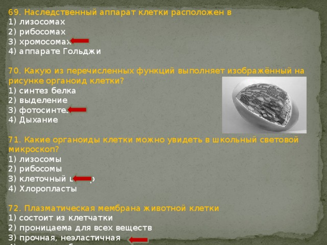 69. Наследственный аппарат клетки расположен в 1) лизосомах 2) рибосомах 3) хромосомах 4) аппарате Гольджи 70. Какую из перечисленных функций выполняет изображённый на рисунке органоид клетки? 1) синтез белка 2) выделение 3) фотосинтез 4) Дыхание 71. Какие органоиды клетки можно увидеть в школьный световой микроскоп? 1) лизосомы 2) рибосомы 3) клеточный центр 4) Хлоропласты 72. Плазматическая мембрана животной клетки 1) состоит из клетчатки 2) проницаема для всех веществ 3) прочная, неэластичная 4) состоит из белков и липидов 