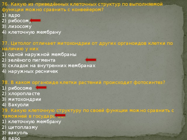 76. Какую из приведённых клеточных структур по выполняемой функции можно сравнить с конвейером? 1) ядро 2) рибосому 3) лизосому 4) клеточную мембрану 77. Цитолог отличает митохондрии от других органоидов клетки по наличию у них 1) одной наружной мембраны 2) зелёного пигмента 3) складок на внутренних мембранах 4) наружных ресничек 78. В каком органоиде клетки растений происходит фотосинтез? 1) рибосоме 2) хлоропласте 3) митохондрии 4) Вакуоли 79. Какую клеточную структуру по своей функции можно сравнить с таможней в государстве? 1) клеточную мембрану 2) цитоплазму 3) вакуоль 4) ядро 