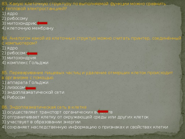 83. Какую клеточную структуру по выполняемой функции можно сравнить с тепловой электростанцией? 1) ядро 2) рибосому 3) митохондрию 4) клеточную мембрану 84. Аналогом какой из клеточных структур можно считать принтер, соединённый с компьютером? 1) ядро 2) рибосома 3) митохондрия 4) комплекс Гольджи 85. Переваривание пищевых частиц и удаление отмерших клеток происходит в организме с помощью 1) аппарата Гольджи 2) лизосом 3) эндоплазматической сети 4) Рибосом 86. Эндоплазматическая сеть в клетке 1) осуществляет транспорт органических веществ 2) отграничивает клетку от окружающей среды или других клеток 3) участвует в образовании энергии 4) сохраняет наследственную информацию о признаках и свойствах клетки 