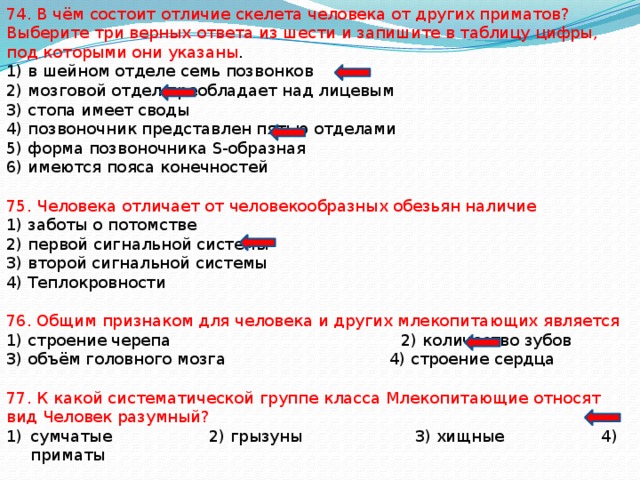 74. В чём состоит отличие скелета человека от других приматов? Выберите три верных ответа из шести и запишите в таблицу цифры, под которыми они указаны . 1) в шейном отделе семь позвонков 2) мозговой отдел преобладает над лицевым 3) стопа имеет своды 4) позвоночник представлен пятью отделами 5) форма позвоночника S-образная 6) имеются пояса конечностей 75. Человека отличает от человекообразных обезьян наличие 1) заботы о потомстве 2) первой сигнальной системы 3) второй сигнальной системы 4) Теплокровности 76. Общим признаком для человека и других млекопитающих является 1) строение черепа 2) количество зубов 3) объём головного мозга 4) строение сердца 77. К какой систематической группе класса Млекопитающие относят вид Человек разумный? сумчатые 2) грызуны 3) хищные 4) приматы 