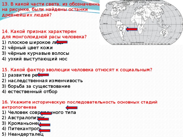 что обеспечило социальную эволюцию человека. Смотреть фото что обеспечило социальную эволюцию человека. Смотреть картинку что обеспечило социальную эволюцию человека. Картинка про что обеспечило социальную эволюцию человека. Фото что обеспечило социальную эволюцию человека