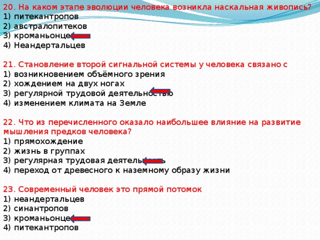 что обеспечило социальную эволюцию человека. Смотреть фото что обеспечило социальную эволюцию человека. Смотреть картинку что обеспечило социальную эволюцию человека. Картинка про что обеспечило социальную эволюцию человека. Фото что обеспечило социальную эволюцию человека