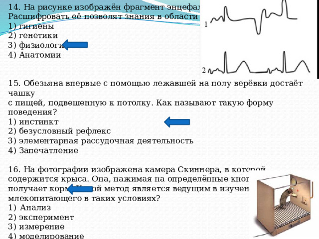 14. На рисунке изображён фрагмент энцефалограммы человека. Расшифровать её позволят знания в области 1) гигиены 2) генетики 3) физиологии 4) Анатомии 15. Обезьяна впервые с помощью лежавшей на полу верёвки достаёт чашку с пищей, подвешенную к потолку. Как называют такую форму поведения? 1) инстинкт 2) безусловный рефлекс 3) элементарная рассудочная деятельность 4) Запечатление 16. На фотографии изображена камера Скиннера, в которой содержится крыса. Она, нажимая на определённые кнопки и рычажки, получает корм. Какой метод является ведущим в изучении поведения млекопитающего в таких условиях? Анализ 2) эксперимент 3) измерение 4) моделирование 