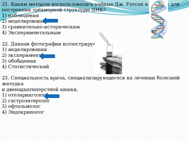 21. Каким методом воспользовались учёные Дж. Уотсон и Ф. Крик для построения трёхмерной структуры ДНК? 1) наблюдения 2) моделирования 3) сравнительно-историческим 4) Экспериментальным 22. Данная фотография иллюстрирует метод 1) моделирования 2) эксперимента 3) обобщения 4) Статистический 23. Специальность врача, специализирующегося на лечении болезней желудка и двенадцатиперстной кишки, 1) отоларинголог 2) гастроэнтеролог 3) офтальмолог 4) Эндокринолог 