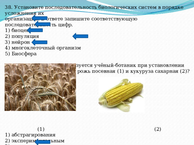 38. Установите последовательность биологических систем в порядке усложнения их организации. В ответе запишите соответствующую последовательность цифр. 1) биоценоз 2) популяция 3) нейрон 4) многоклеточный организм 5) Биосфера 39. Каким методом воспользуется учёный-ботаник при установлении родства между растениями рожь посевная (1) и кукуруза сахарная (2)?  (1) (2) 1) абстрагирования 2) экспериментальным 3) моделирования 4) сравнения 