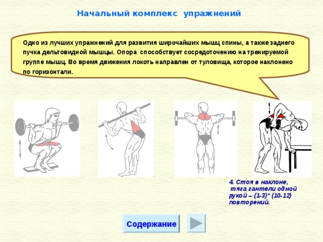 Комплекс упражнений для развития мышц спины с картинками