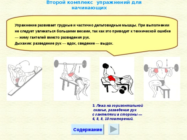 Гимнастика и атлетическая подготовка план конспект