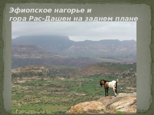 Эфиопское нагорье и  гора Рас-Дашен на заднем плане   