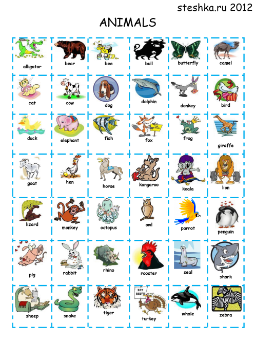 Animals translate. Животные на англ. Животные на английском языке для детей. Животные на английском картинки. Картинки животных с английскими названиями.