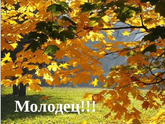 Молодец!!! 