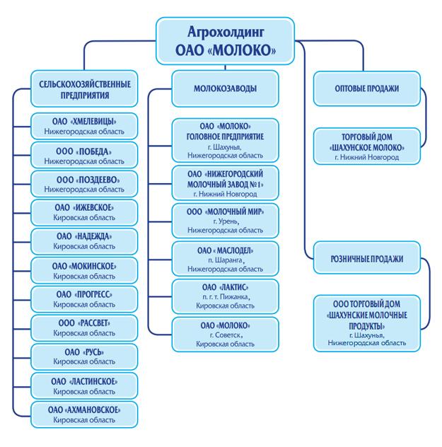 Организация оао. Организационная структура предприятия агрохолдинга. Организационная структура агрохолдинга схема. Структура предприятия по производству молока. Организационная структура предприятия молочного завода.