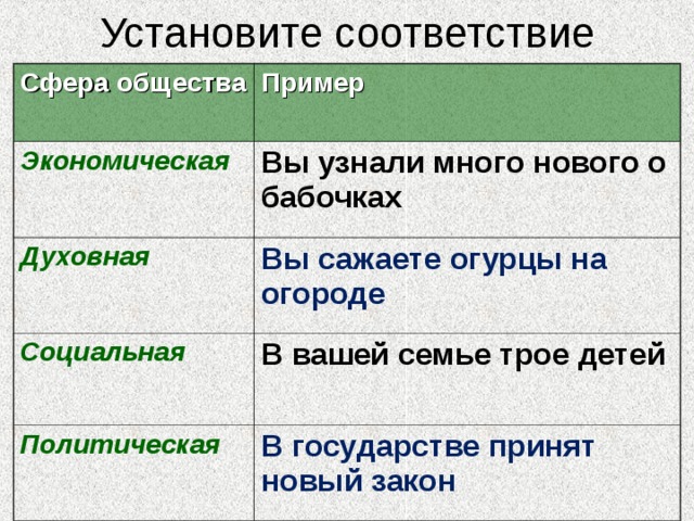 Термины политической сферы общества: найдено 87 картинок