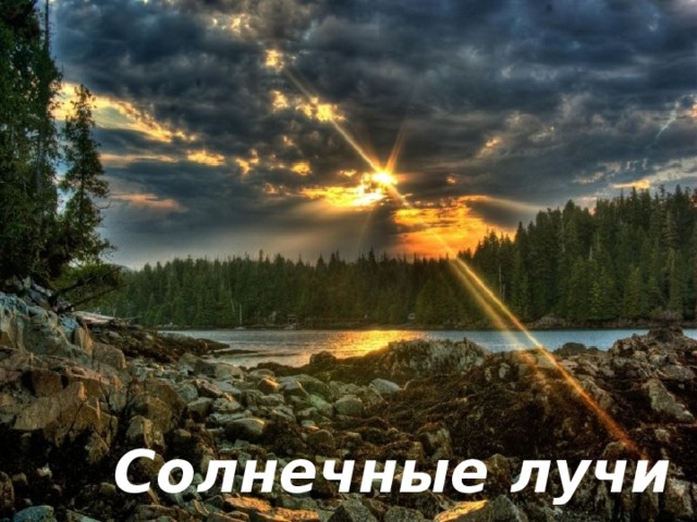 Продукты, содержащие  витамин D Ежедневно по утрам  Он в окошко входит к нам.  Если он уже вошел —   Значит, день пришел. Солнечные лучи 