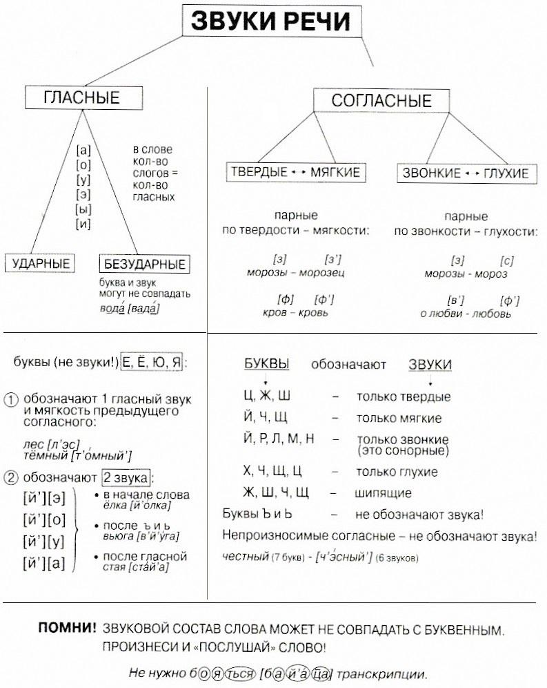 Анализ согласных звуков. Фонетика русского языка в таблицах. Схема согласных и гласных звуков русского языка. Фонетическая таблица таблица. Фонетическая таблица гласных.